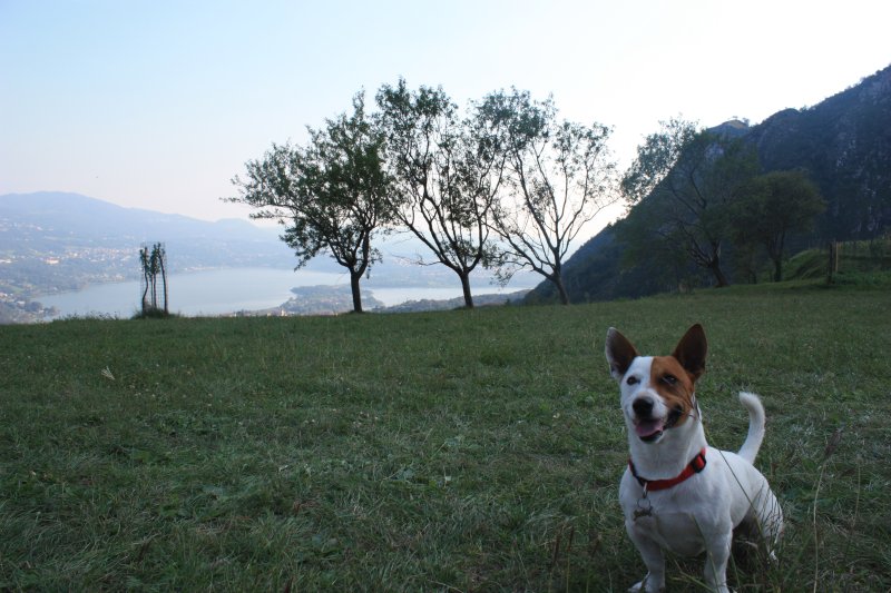 Il mio campo giochi/allenamento 1