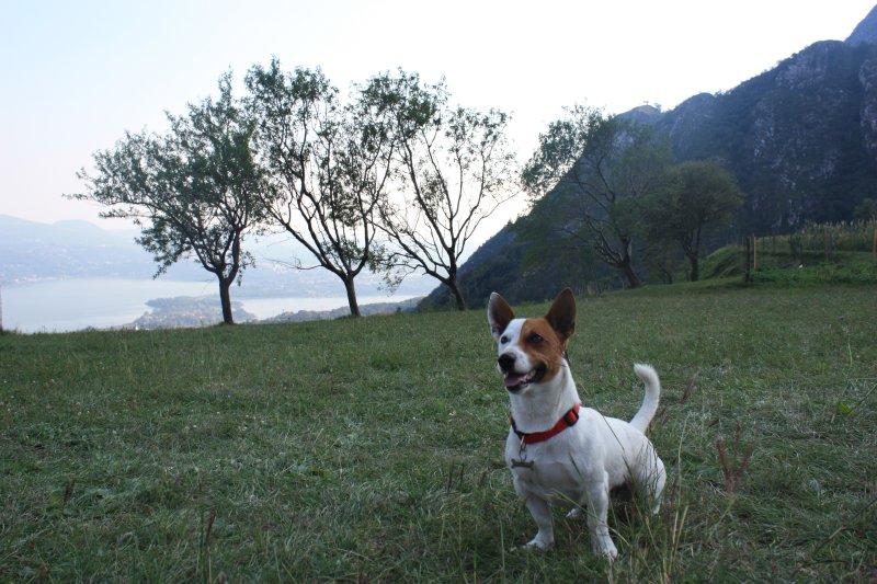 Il mio campo giochi/allenamento 2