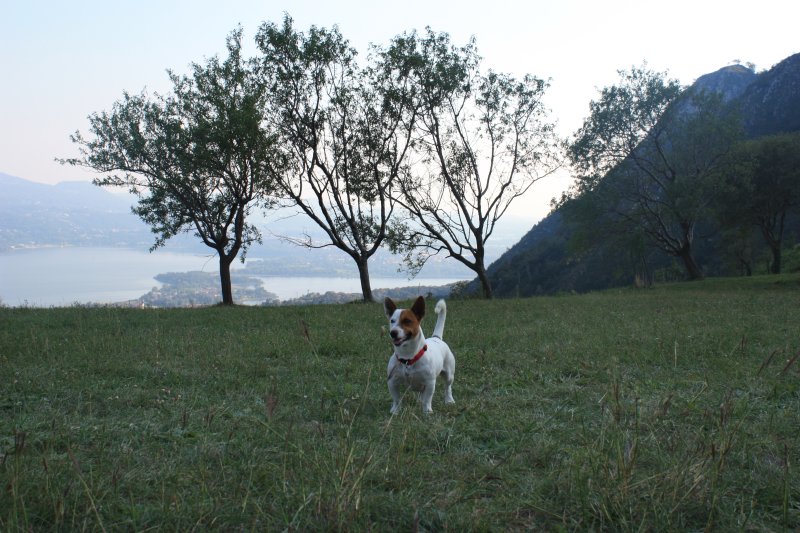 Il mio campo giochi/allenamento 4