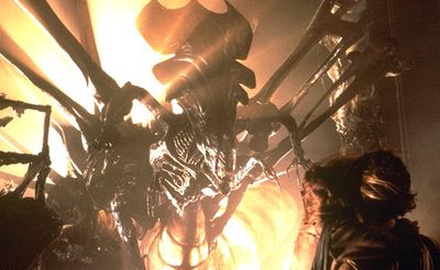 Insectos similares a los Xenomorfos Reina-alien