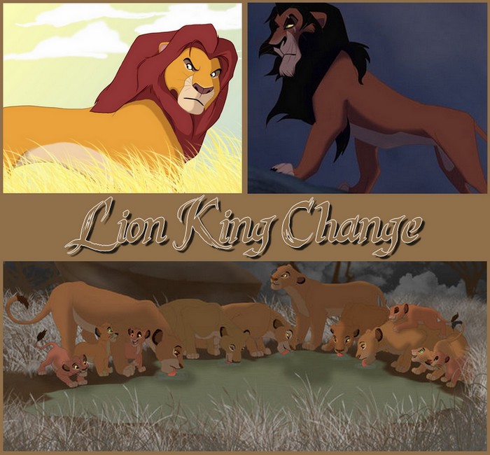 Lion King Change