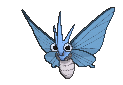 Les Shineys / Les Chromatiques Venomoth