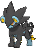 Sunyshore Gym Luxray