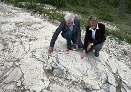 Descubren una enorme huella de dinosaurio Huella-dinosaurio