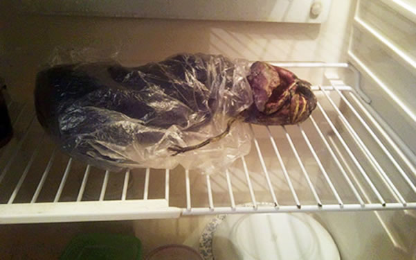 Una mujer afirma tener un alien congelado, ¿le crees? (Fotos)  Alien-nevera-marta-rusia