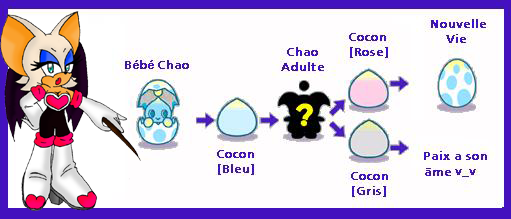 [TUTO] Tout sur les Chao de SA2B A575_Cycle_Chaos_by_rouge