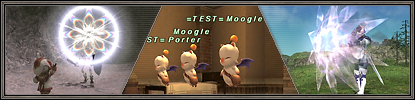 ber den FINAL FANTASY XI Test-Server (26.08.2011) 6976