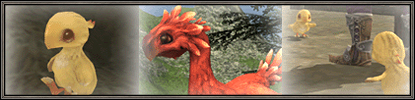 MAJ : Elevage de Chocobo. 864