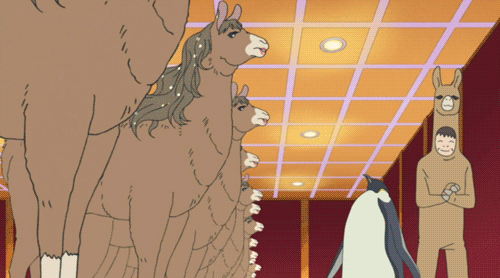 [FLOOD] Darkness Room ~ - Page 32 10-llamas-penguin-wtf-anime