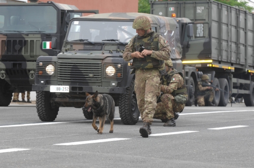 (FULL) WA Regional News Network  - Page 8 Esercito-italiano