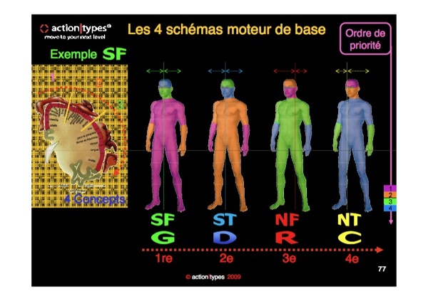 action type - MBTI et "Action type" - Page 3 At%20corps%20