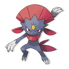 #461 Dimoret / Weavile 461