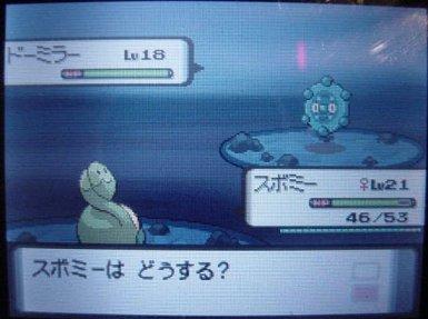 Pokemon Diamant et Perle. - Page 4 1427_img_2006-0926_235159