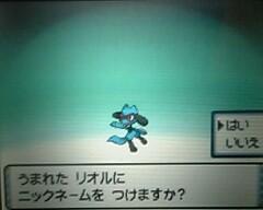 Pokemon Diamant et Perle. - Page 5 1429_img_2006-0927_163101