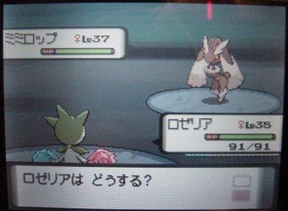 Pokemon Diamant et Perle. - Page 5 1429_img_2006-0927_222921