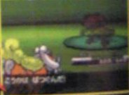 Pokemon Black et White, La 5e generation !!! - Page 3 1273740831