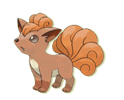 Soun (Vulpix) 037