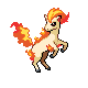 Route 210 Ponyta