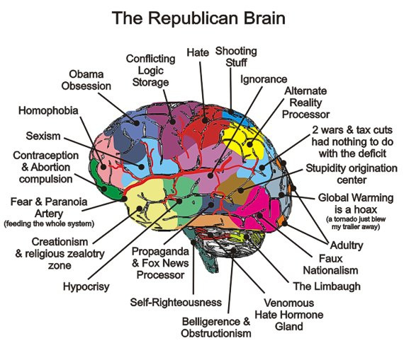 Nor' easter on the way? - Page 3 Republican-brain-diagram