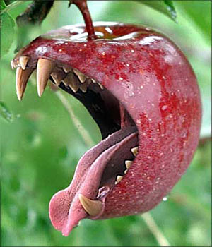 صورة جدتي Vampire-apple