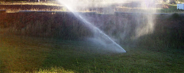 A Regar o Jardim nos Meses de Verão Sprinkler