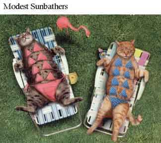 IMAGENES WAPAS! LoL XD echadle un ojillo... Sunbathers