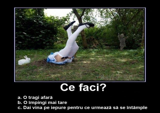 FUNNY PICS - Pagina 5 Ce_faci_in_aceasta_situatie_-403