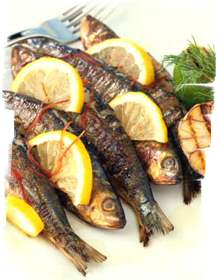 sardine Sardines