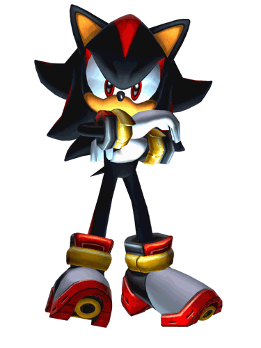 Club:YO TAMBIEN VEO SONIC X Art_shadowadventure2b