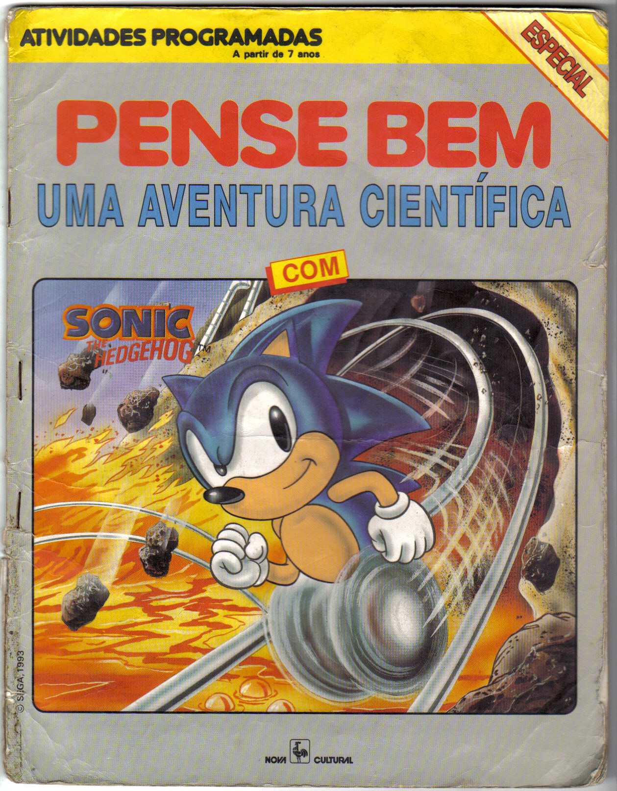 Quem teve isso? Capa_pensebem1