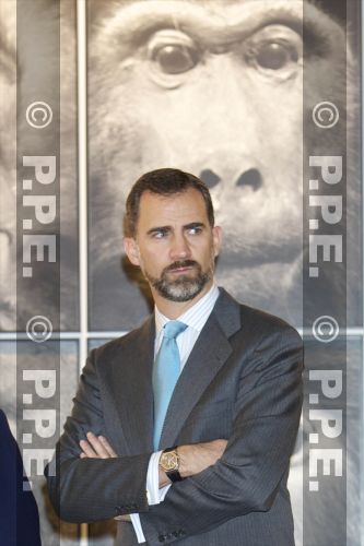 Letizia, Princesa de Asturias (III) (FORO CLAUSURADO) - Página 27 PPE11021755