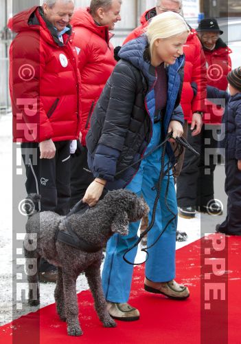 CASA REAL DE NORUEGA - Página 51 PPE13031781