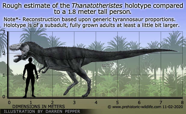 Top 10 tyrannosáuridos más grandes Thanatotheristes-size