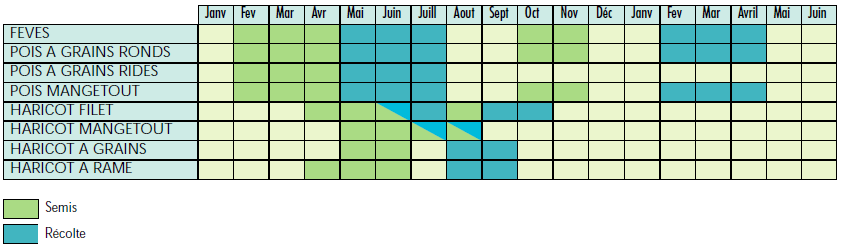 Calendrier des semis et récolte Calendrier-legumes