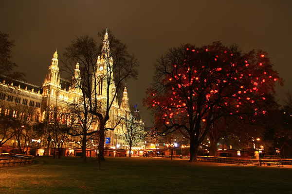 Plant Abiotic Stress Tolerance III  (June 29 - July 1, 2015, Vienna, Autriche) Christkinderlmarkt-rathaus-vienna-austria-wien