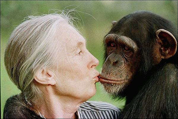 Jane Goodall, vgtarienne pour la dfense des gds singes Jane%20and%20Tess