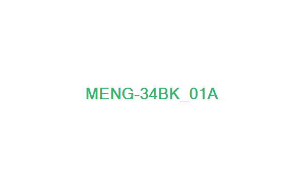 el nuevo ampli de Pink MENG-34bk_01a