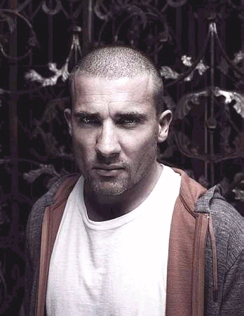 Dominic Purcell- Lincoln Burrows 86