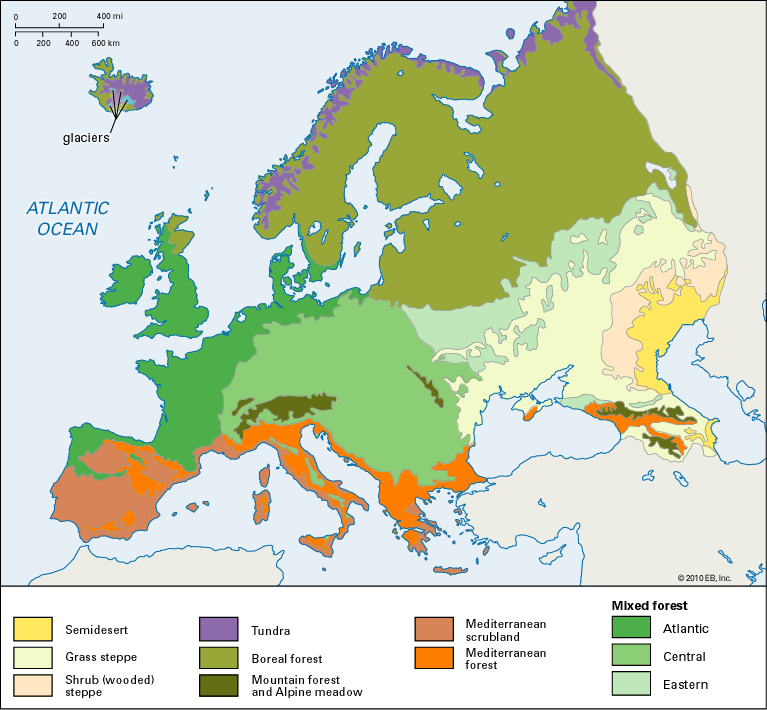 Vegetatia Europei Zonele-majore-de-vegetatie-din-Europa