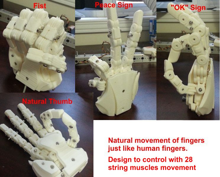 Aiko New Hand V2 from 3d printer HandFinal02