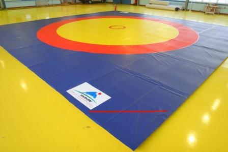 Historia de Kazuya - Página 17 Wrestling-mat