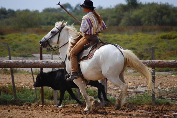 ........................ Camargue-reiten