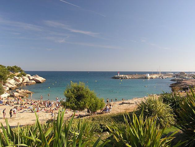 insolite ? La mer dans tous ses états !  Carrot-plage01