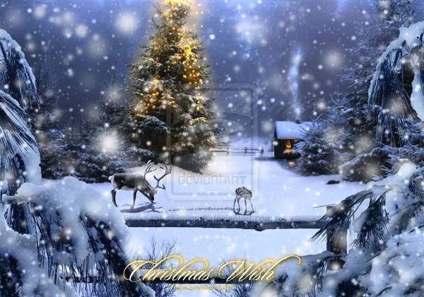 Magic Christmas Magic-christmas-night-greeting-card