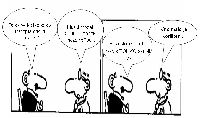 Smešni ( zanimljivi ) crteži i animacije - Page 2 Zenski%20mozak%20muski%20mozak