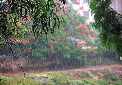 MỘT TUỒNG  Rain