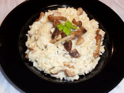 risotto aux champignons Md-56617p72797