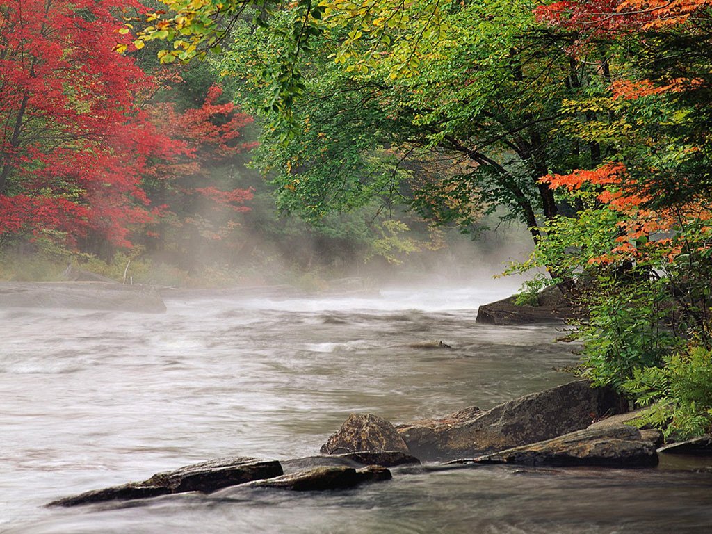 Simplemente Naturaleza Eauxforets