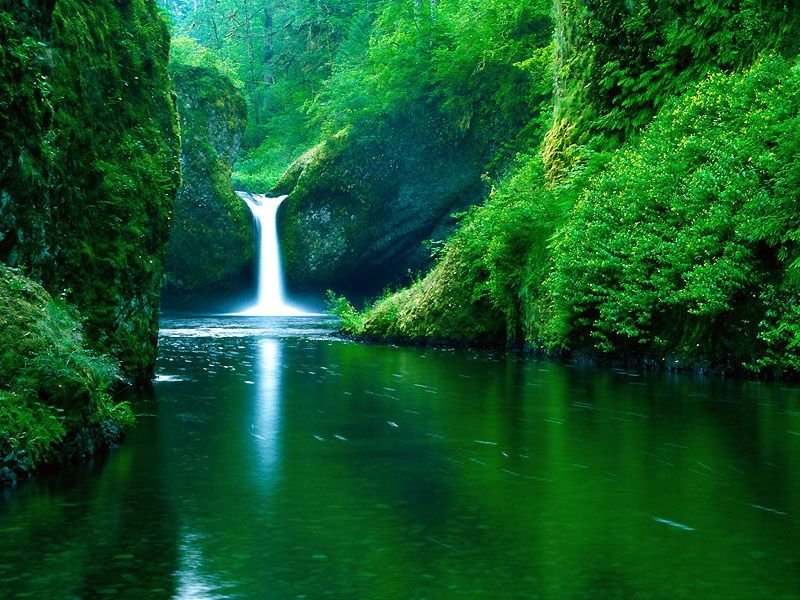 Simplemente Naturaleza Chutes-00