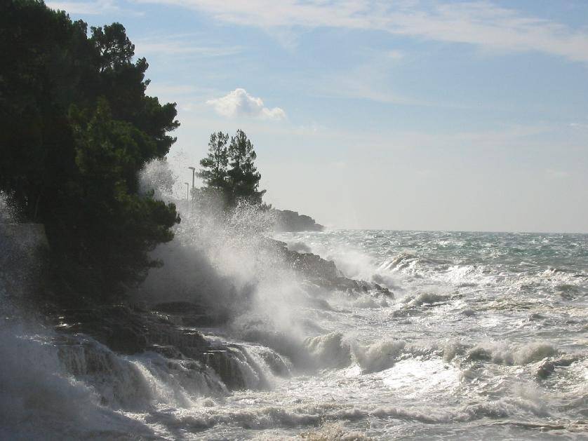 Slike i sve ta nas veseli . Gortanova